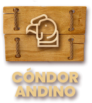 AVES CONDOR ANDINO