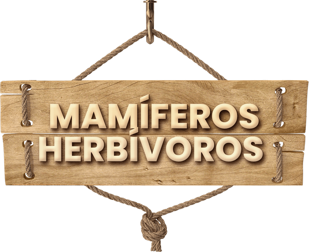 MAMIFEROS HERBIVOROS LETRERO