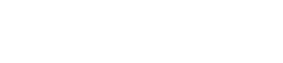 Logo Next Step Student
